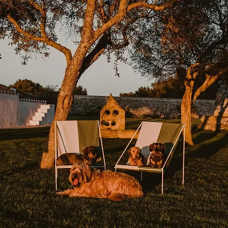 Agroturismo Amagatay Luxury Boutique - Adults Only *